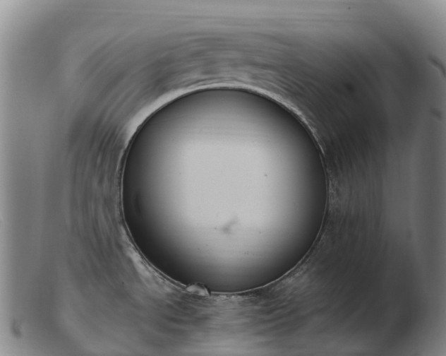 X0000103481534200809191847
