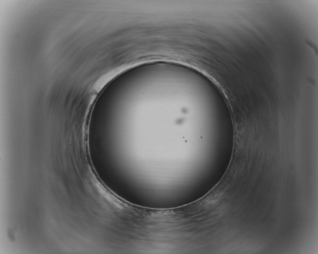 X0000103481535200809191847