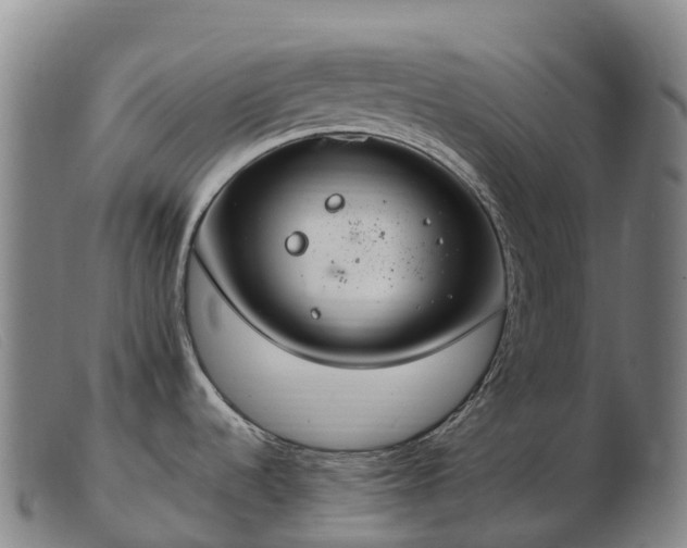 X0000103481536200809191847