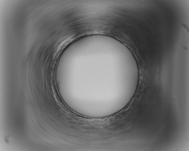 X0000103480001200809261938