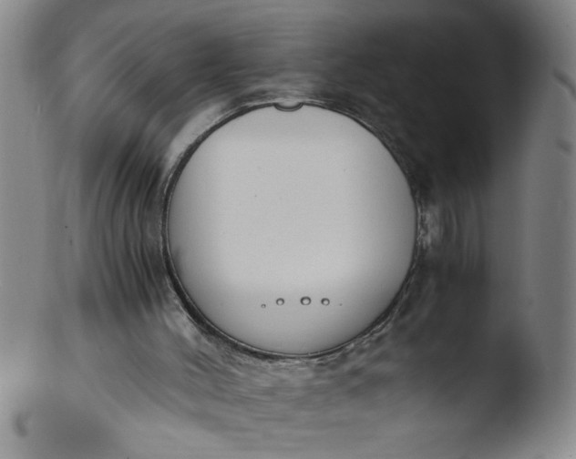 X0000103480004200809261938