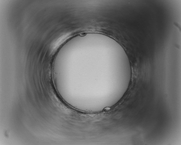 X0000103480005200809261938