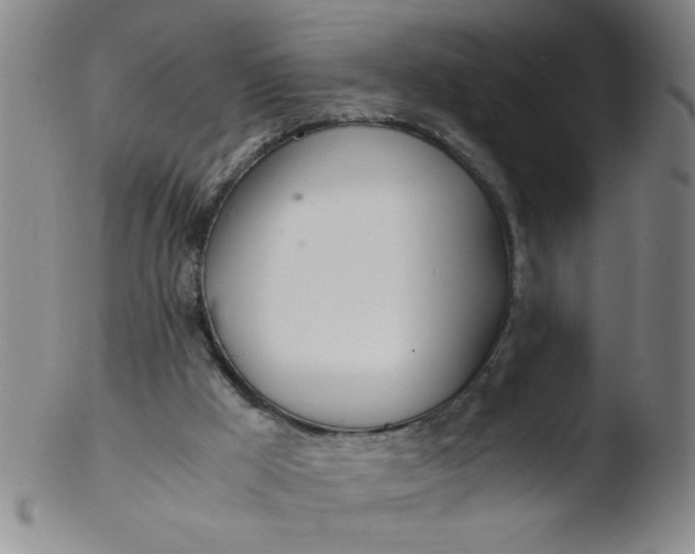 X0000103480009200809261938