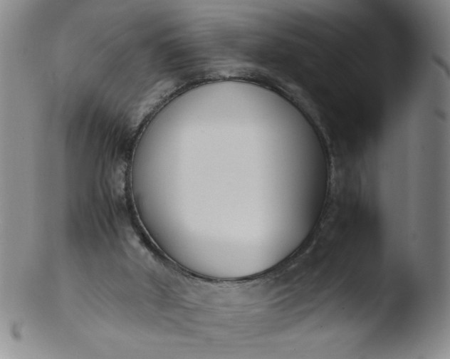 X0000103480010200809261938