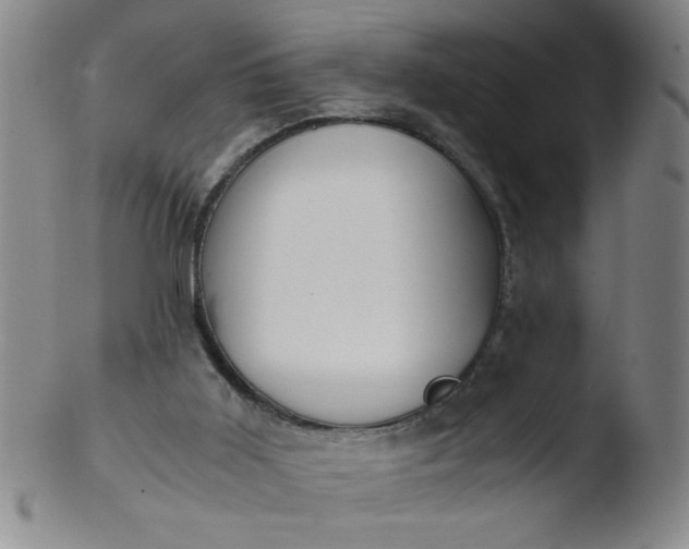 X0000103480011200809261938