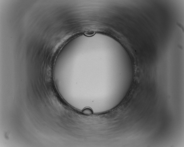 X0000103480012200809261938