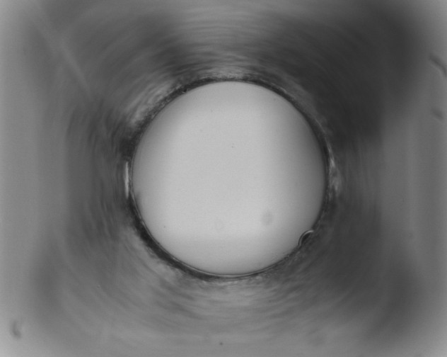 X0000103480013200809261938