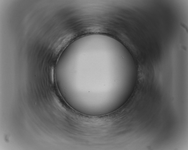 X0000103480014200809261938