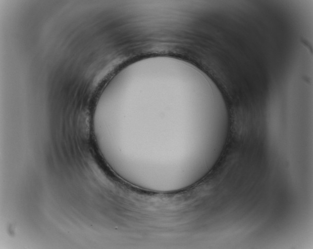 X0000103480016200809261938