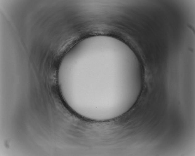 X0000103480017200809261938