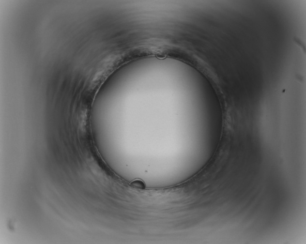 X0000103480018200809261938