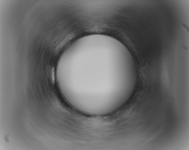 X0000103480020200809261938