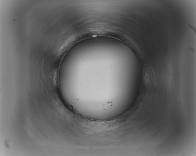 X0000103480023200809261938