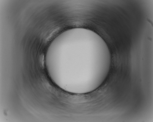 X0000103480024200809261938