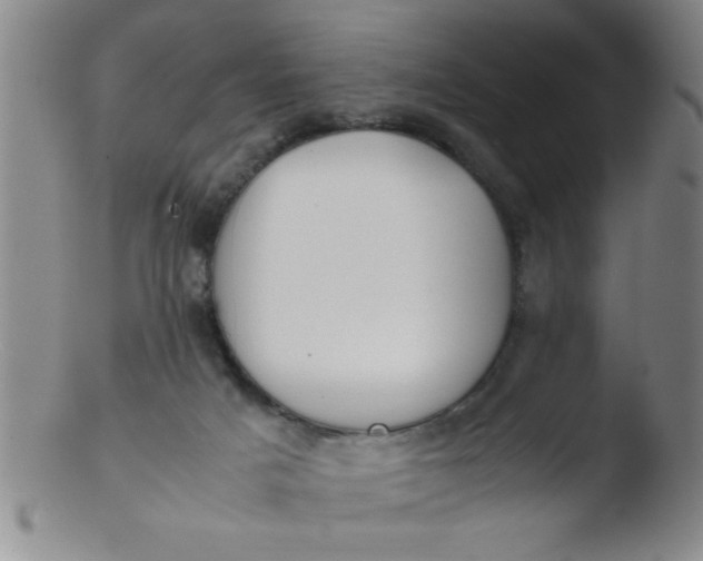 X0000103480025200809261938