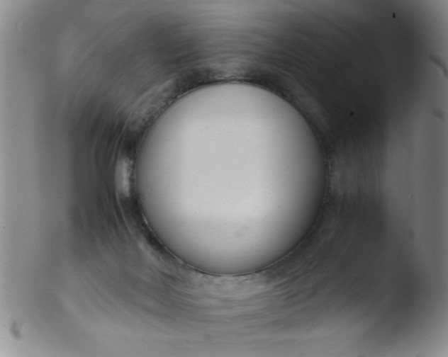 X0000103480026200809261938