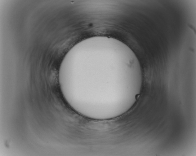 X0000103480029200809261938