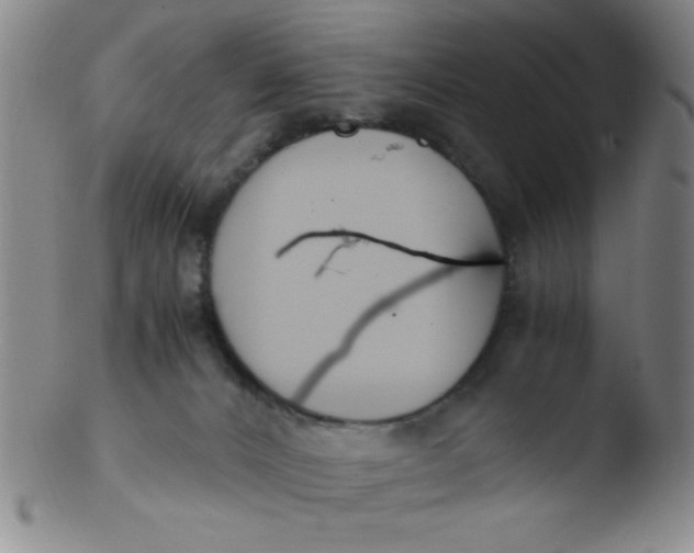 X0000103480032200809261937