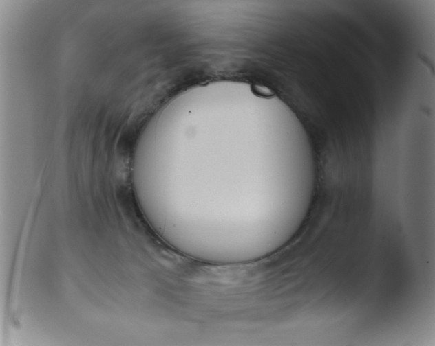 X0000103480033200809261937