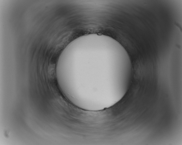 X0000103480034200809261937