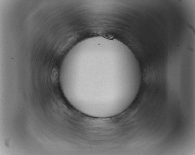 X0000103480036200809261937