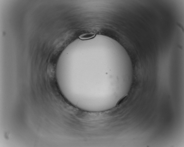 X0000103480037200809261937