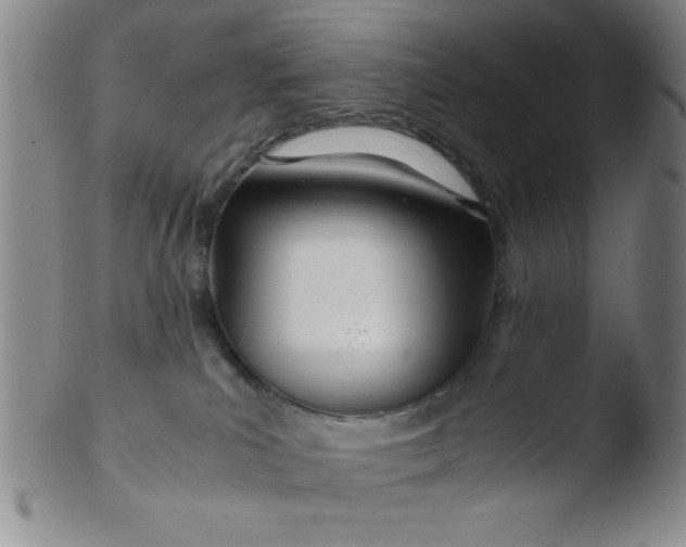 X0000103480039200809261937