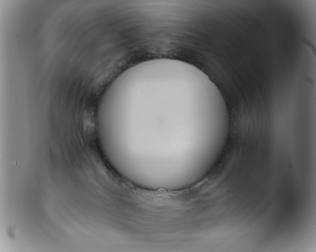 X0000103480040200809261937