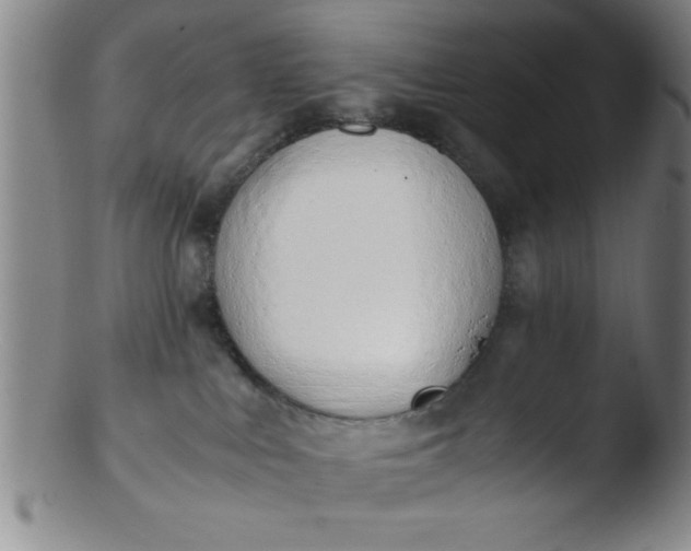 X0000103480043200809261937