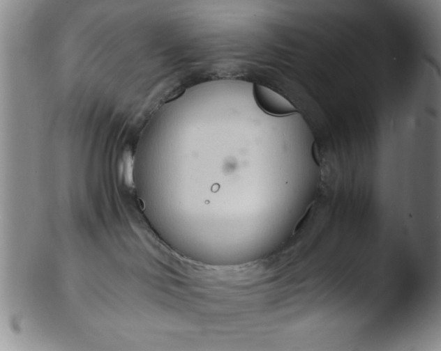 X0000103480046200809261937