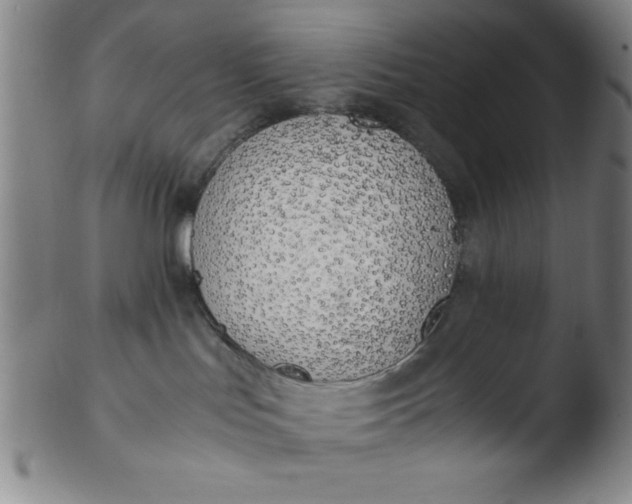 X0000103480047200809261937