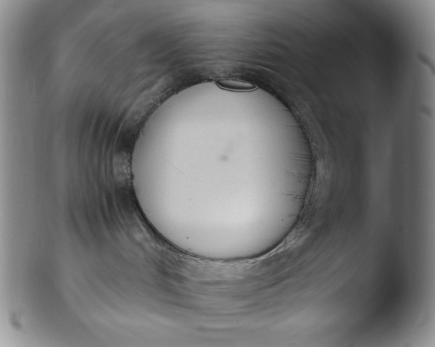 X0000103480048200809261937