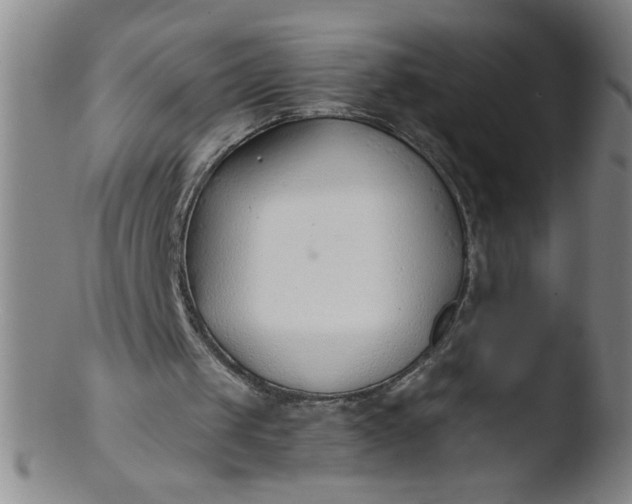 X0000103480049200809261936