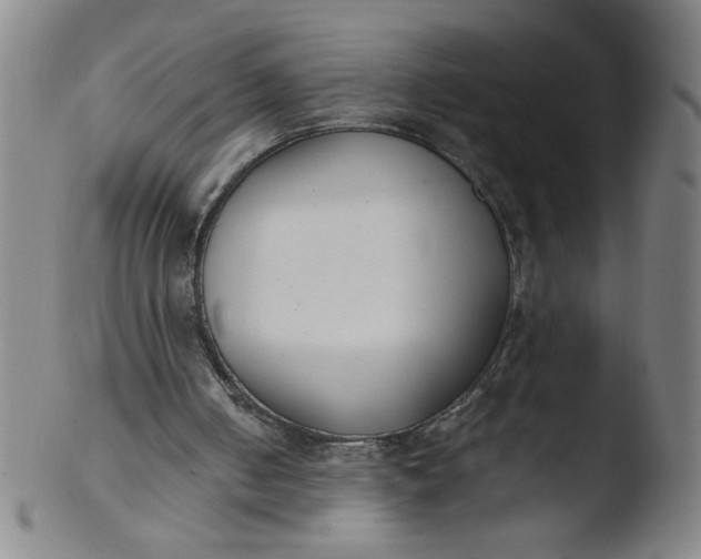 X0000103480050200809261936