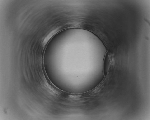 X0000103480051200809261936