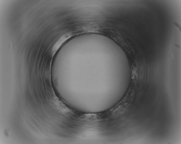 X0000103480052200809261936