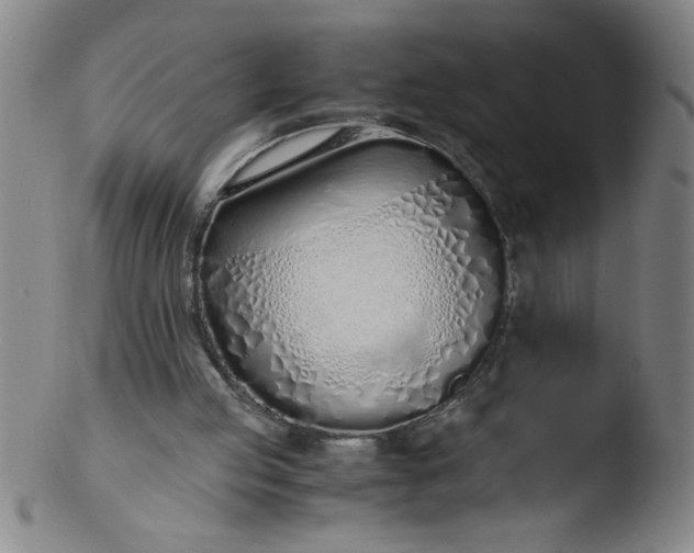 X0000103480053200809261936