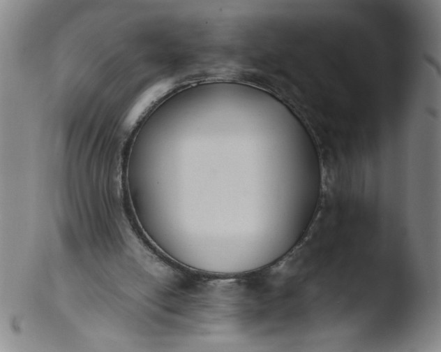 X0000103480054200809261937