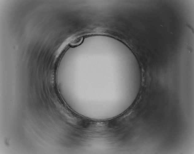 X0000103480056200809261937