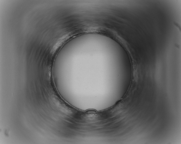 X0000103480059200809261937