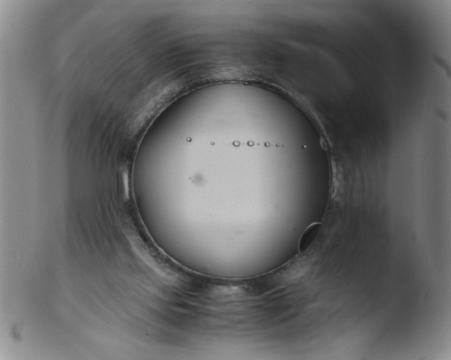 X0000103480061200809261937