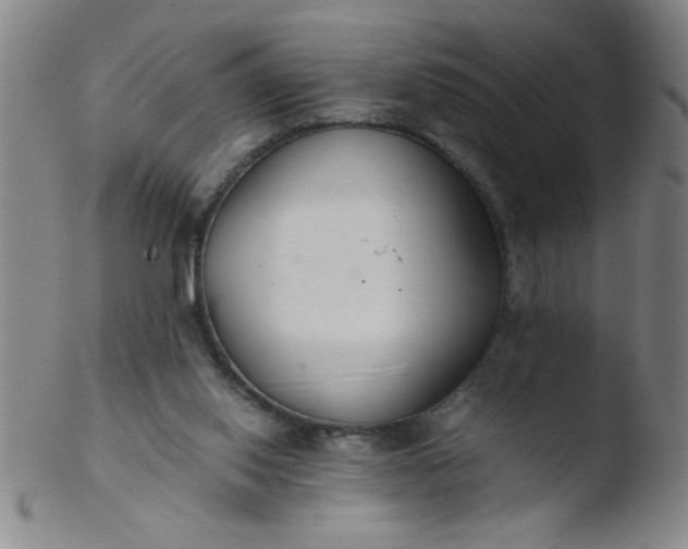 X0000103480062200809261937