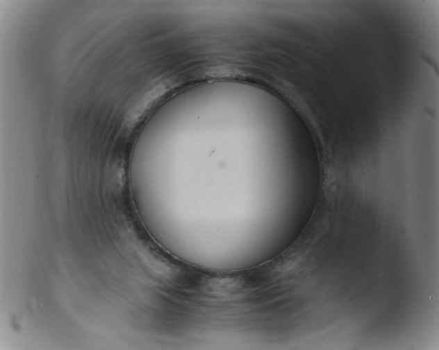 X0000103480063200809261937