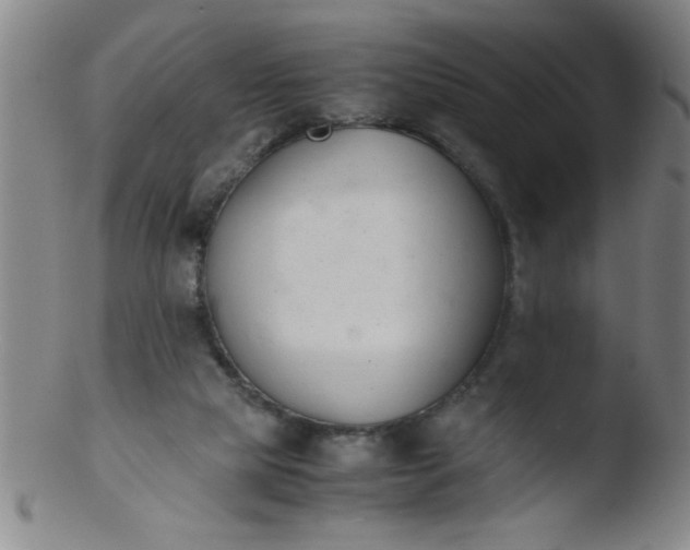 X0000103480065200809261937