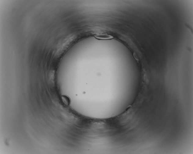 X0000103480066200809261937