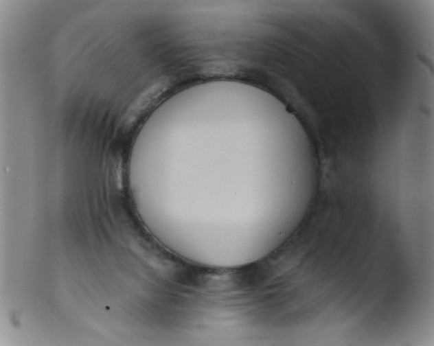 X0000103480068200809261937