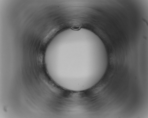 X0000103480072200809261937