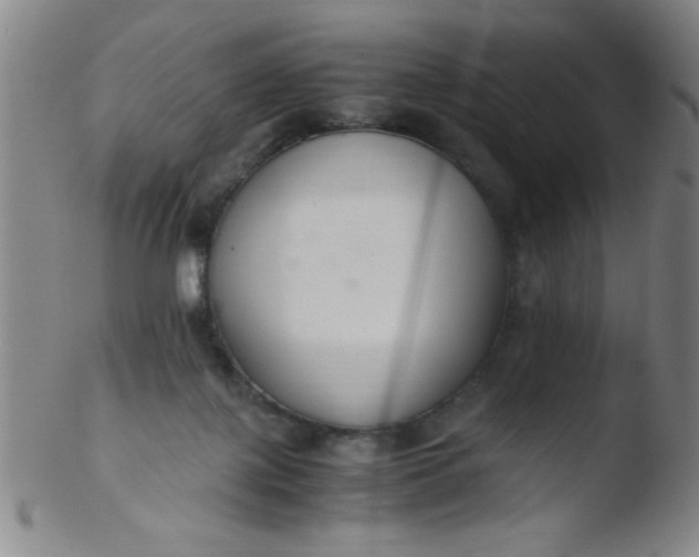 X0000103480075200809261937