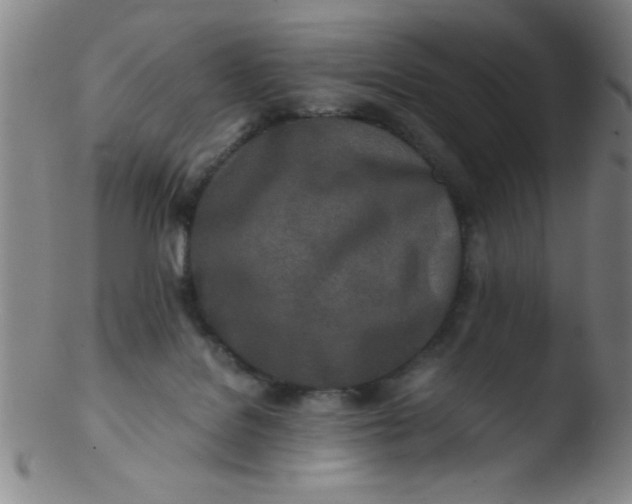 X0000103480076200809261937