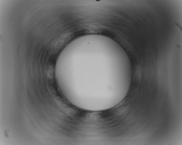 X0000103480078200809261937